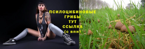 амф Нягань