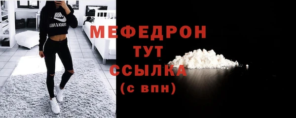 трава Няндома