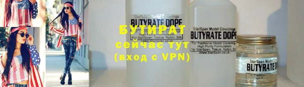трава Няндома