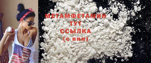 трава Няндома