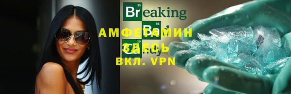 трава Няндома