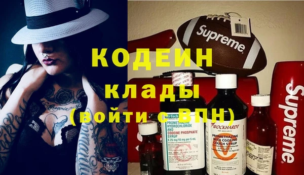 трава Няндома