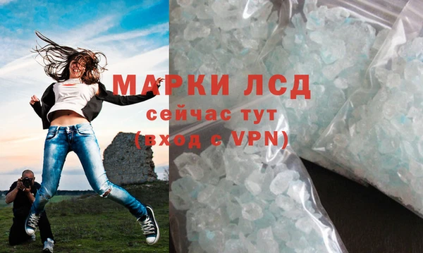 трава Няндома