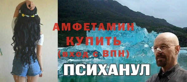 трава Няндома